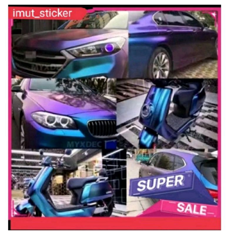 stiker bunglon/ skotlet aurora biru