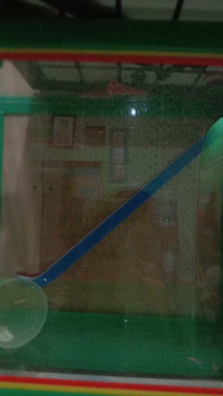 Aquarium Es Kelapa Kecil Acrylic Es Buah + Gayung Lion Star Lionstar