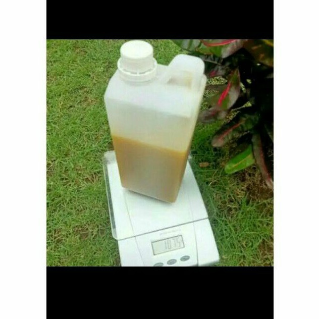

madu kaliandra/madu curah