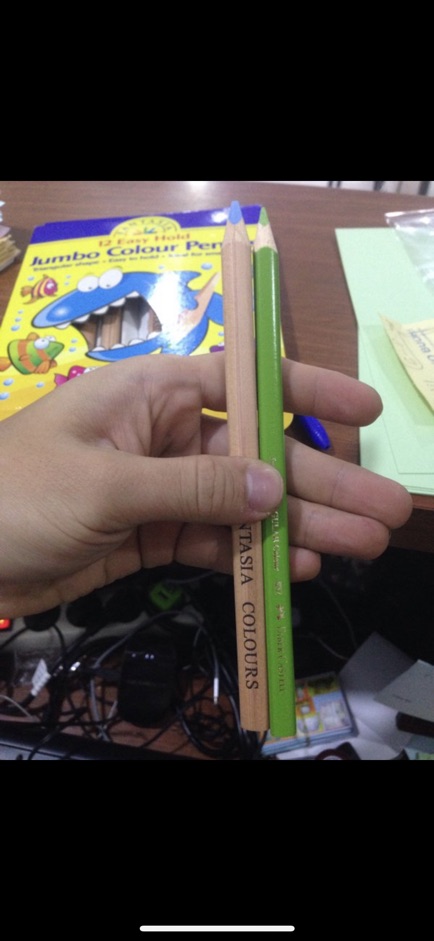 Pensil warna fantasia jumbo 12 warna sisa export kemasan dus-5