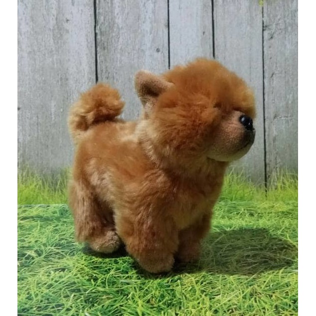 24+ Anjing chow chow panda update 