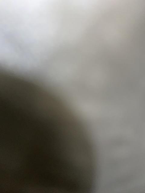 Cetakan Bolu Kukus Besar