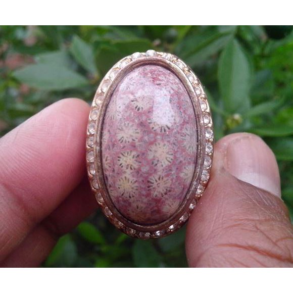 Natural Batu Akik Coral Fossil (Teratai/Lipan/Sarang Tawon Dll) #3