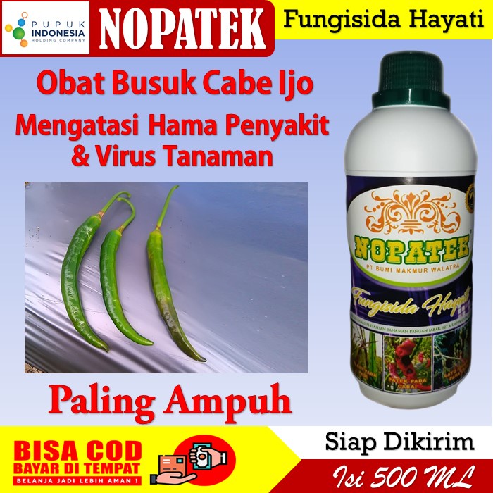 Nopatek Obat Busuk Cabe Ijo Paling Ampuh - Nopatek Obat Atasi Hama Busuk Cabe Ampuh - Nopatek fungis