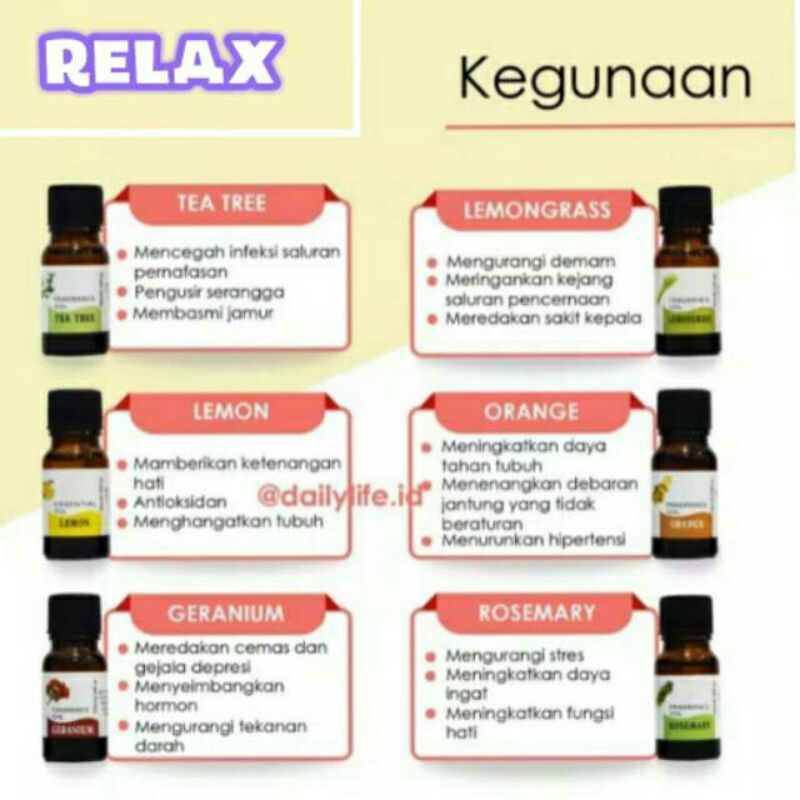 Essential Oil Aromatherapy Diffuser Pengharum Ruangan Fragrance Oil Pewangi