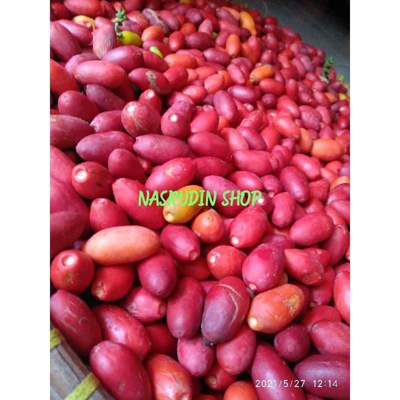 

BUAH MELINJO UTUH SEGAR TANPA KUPAS / BIJI MELINJO UTUH / MLINJO / MALINJO / TANGKIL