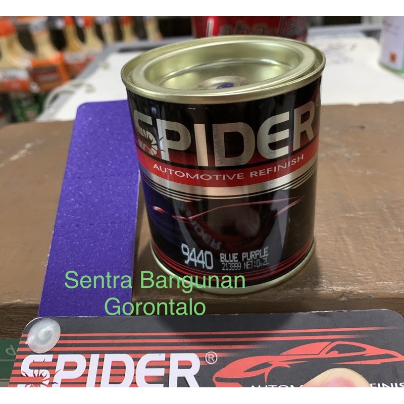Cat spider blue purple Sp 9440