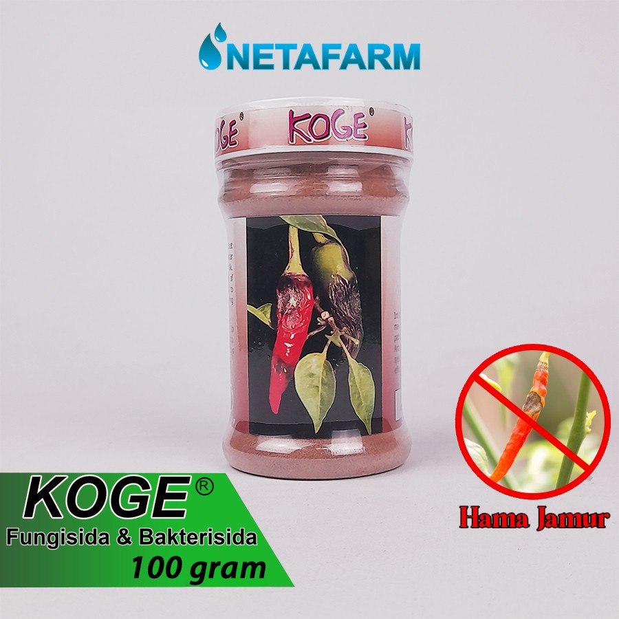 Fungisida Bakterisida KOGE Obat Anti Busuk Cabe - 100gr