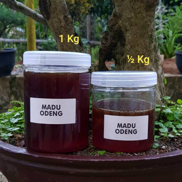 

Madu odeng asli bungbulang 1kg