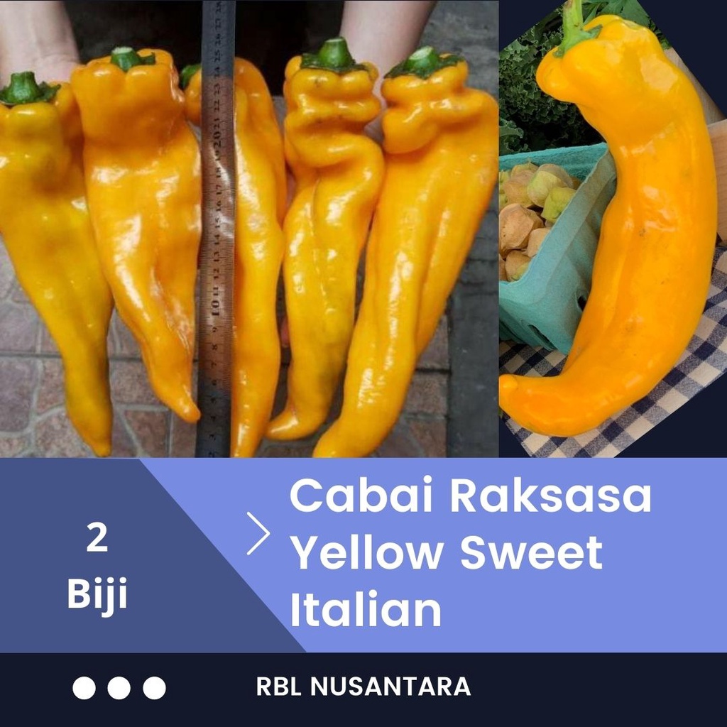 Jual Bibit Cabe Raksasa Sweet Italian Pepper Yellow Benih Cabai Giant