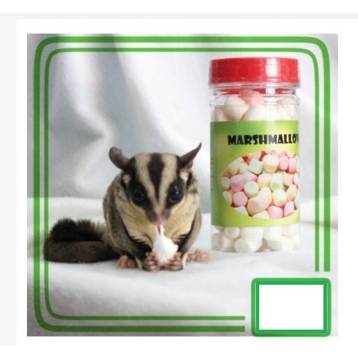 Marshmallow Makanan Sugar Glider, Hamster, Musang