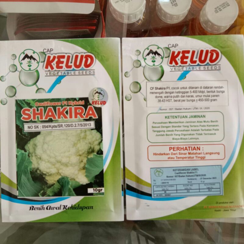 Bibit Benih Bunga Kol Bungkol Hibrida F1 SHAKIRA. Netto 10gr