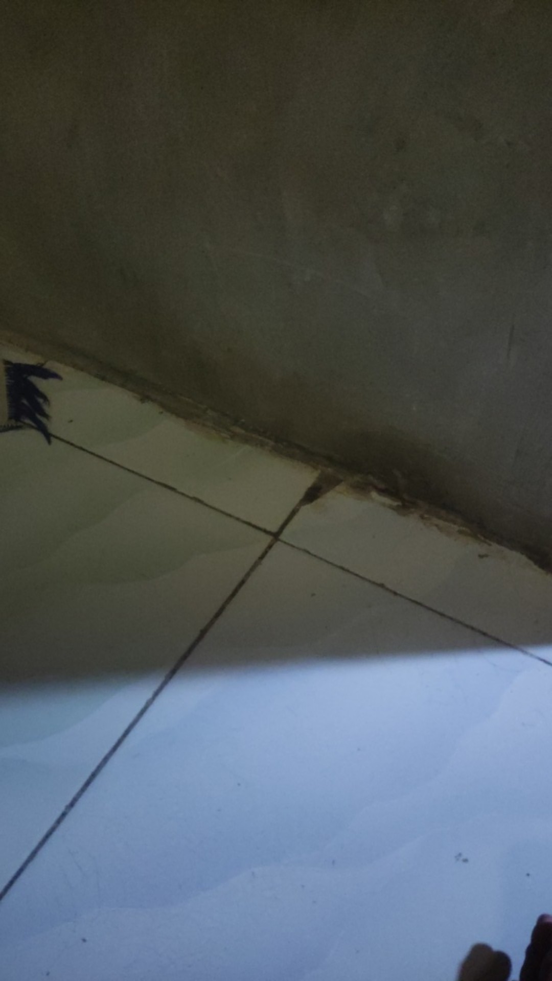 Kemeja Batik Pendek Alisan Reguler 10573