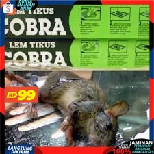 ( PROMO 99 ) Lem Tikus / Jebakan Tikus / Cobra / Lem Tikus Cobra Super Lengket Ampuh &amp; Berkualitas