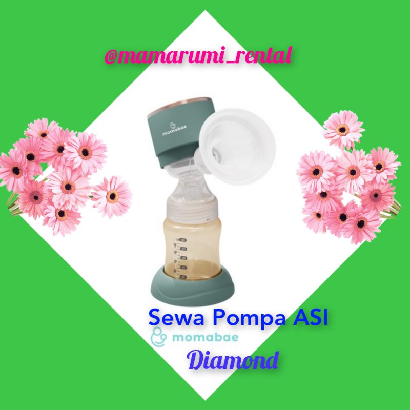 Sewa Pompa ASI Momabae Diamond