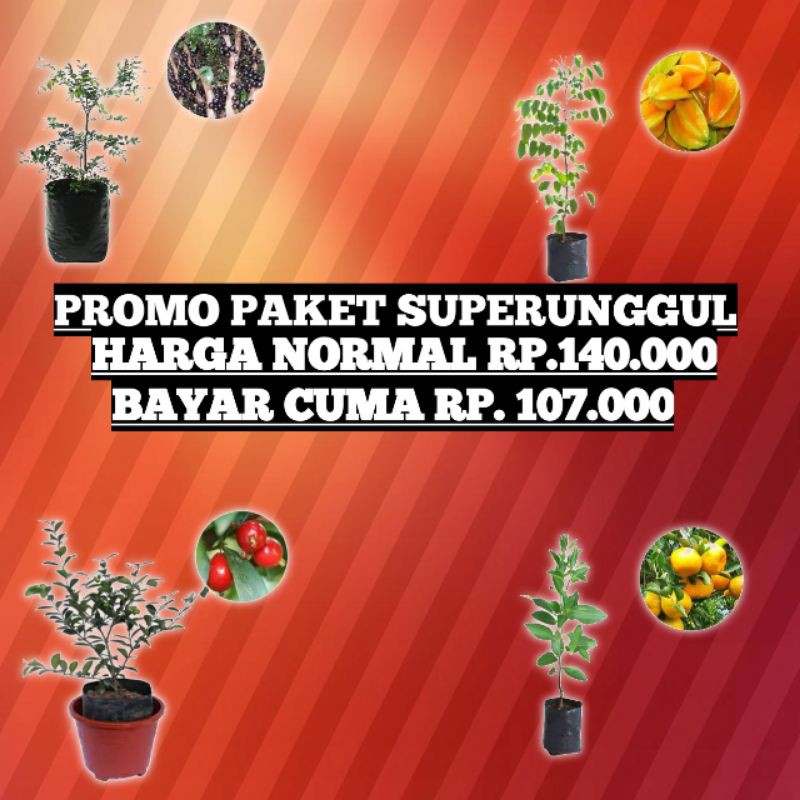 PROMO PAKET SUPERUNGGUL.(ANGGUR POHON. BELIMBING MADU. CERY VIETNAM .JERUK KEPROK SIEM)