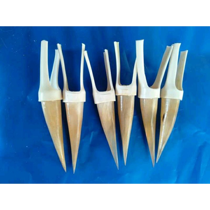 Taji Sambungan Jalu sambung Ayam