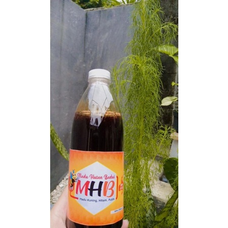 

Madu Hutan
