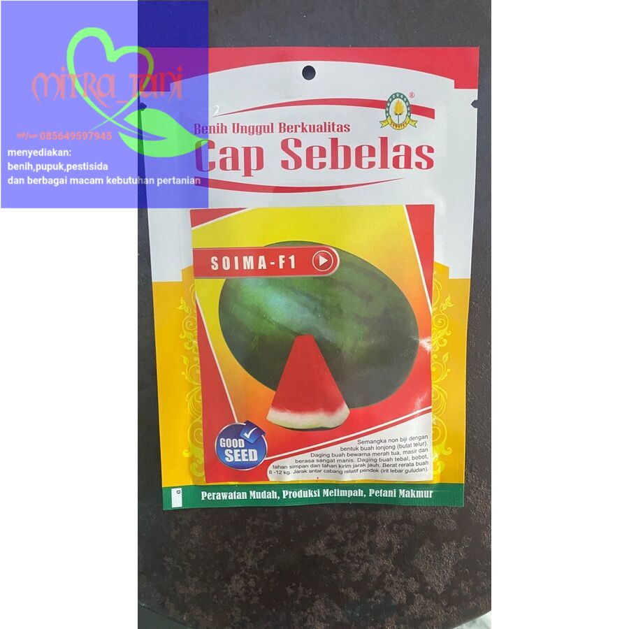 Benih semangka non biji bulat oval SOIMA f1 isi ±300biji dari CAP SEBELAS