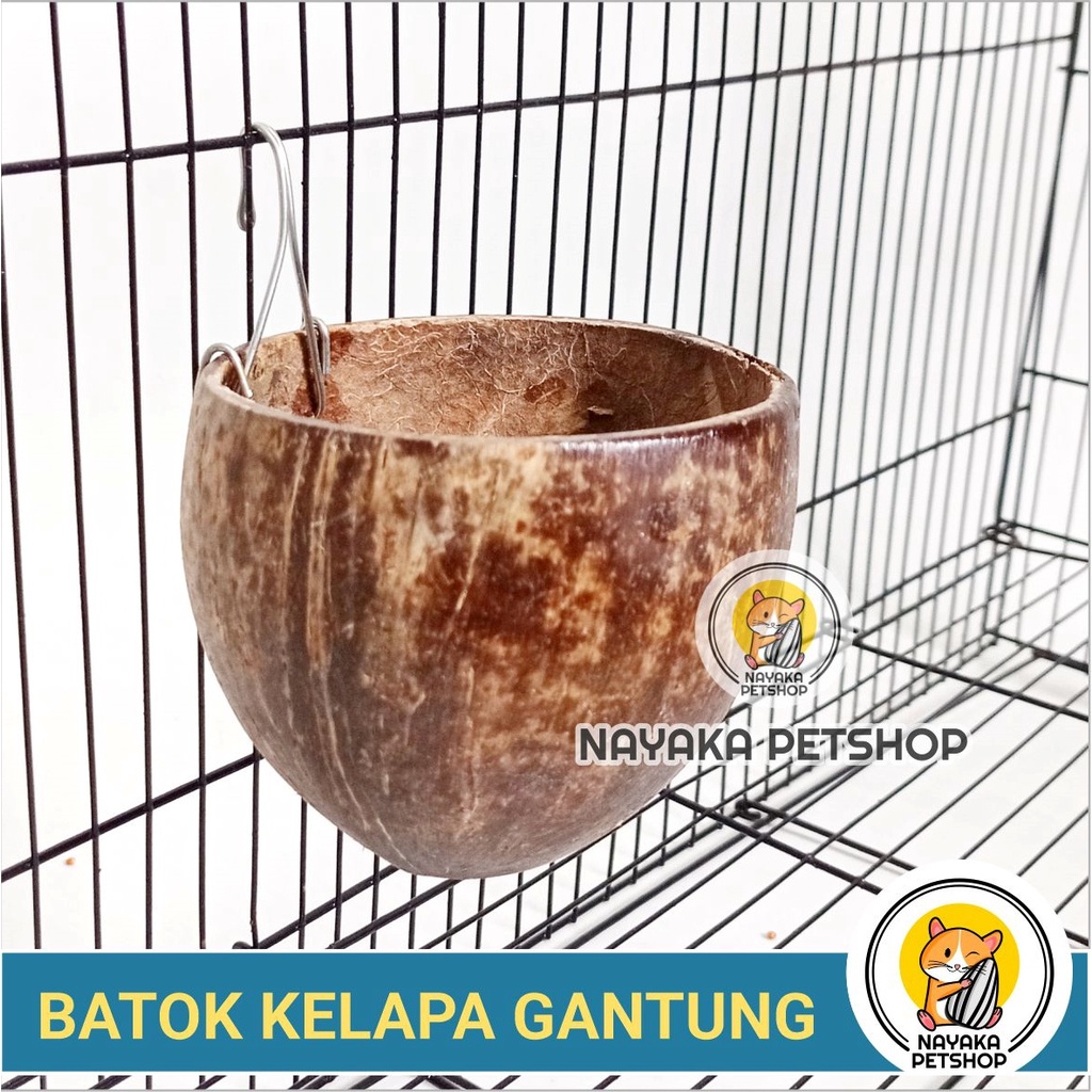 Batok Kelapa Sleeping Pouch Sugar Glider Hanging Pouch Tempurung Gantung Tempat Pakan Minum Hewan