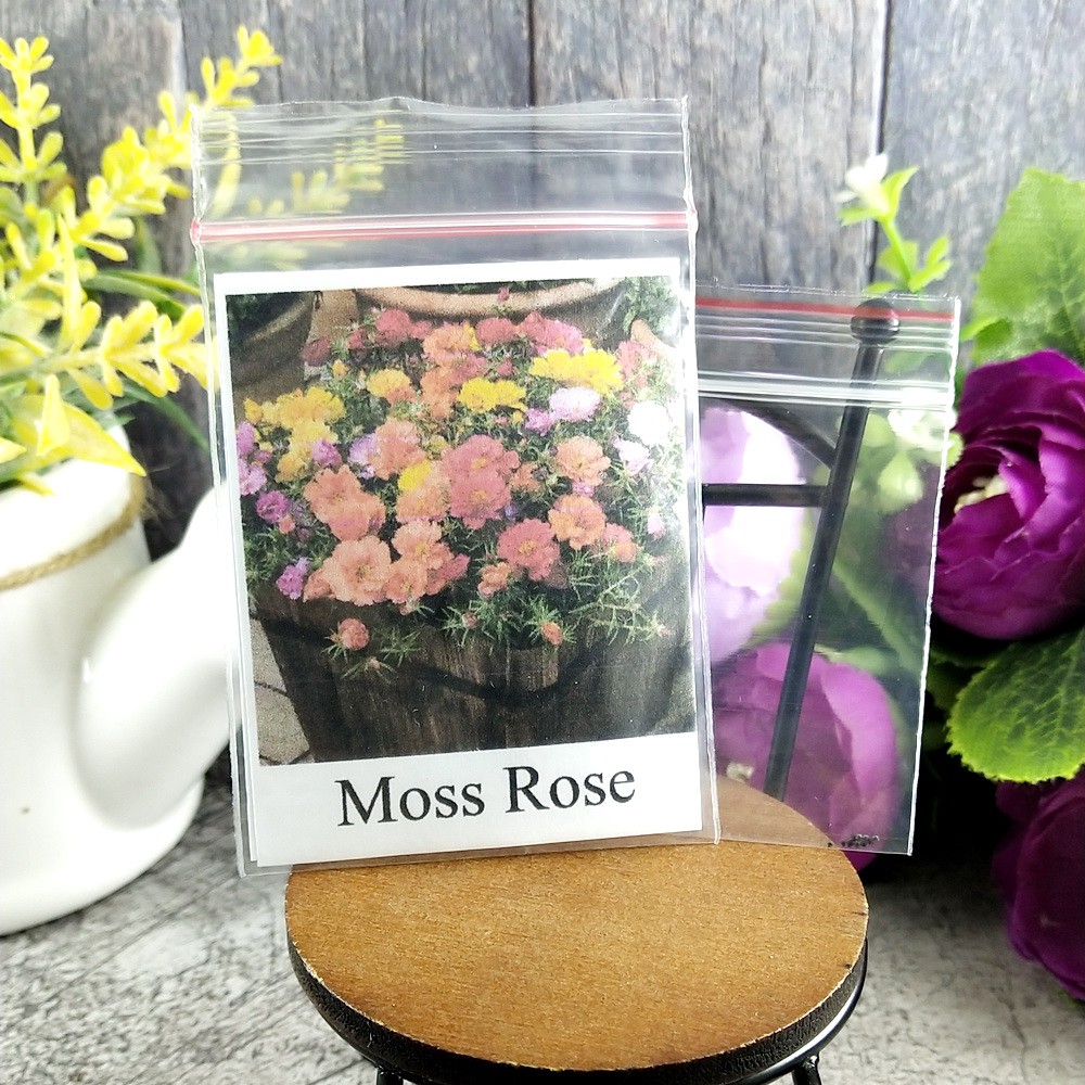 [Best Selling] 10 Seeds - Moss Rose Double Mix Haira Seed Biji Benih Bibit - SR0030