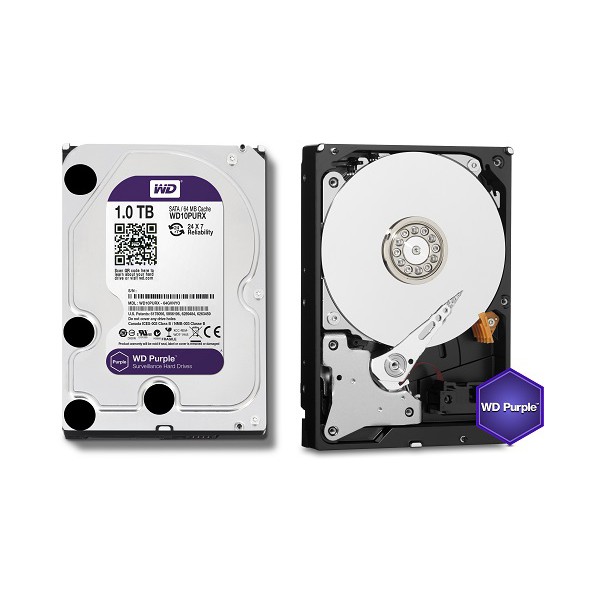 WD Caviar Purple 1TB - HD / HDD / Hardisk Internal 3.5&quot; for CCTV