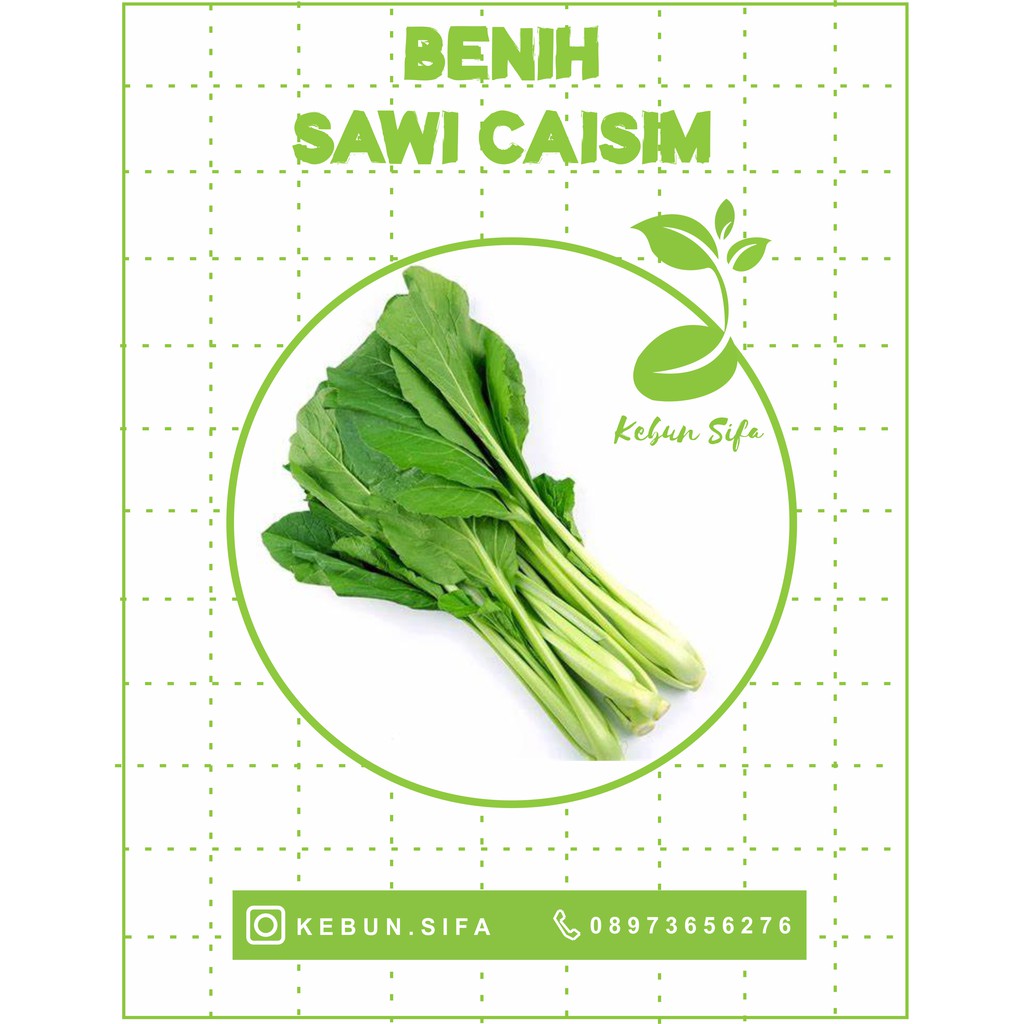 BENIH SAWI CAISIM / SAWI MANIS / SAWI MIE