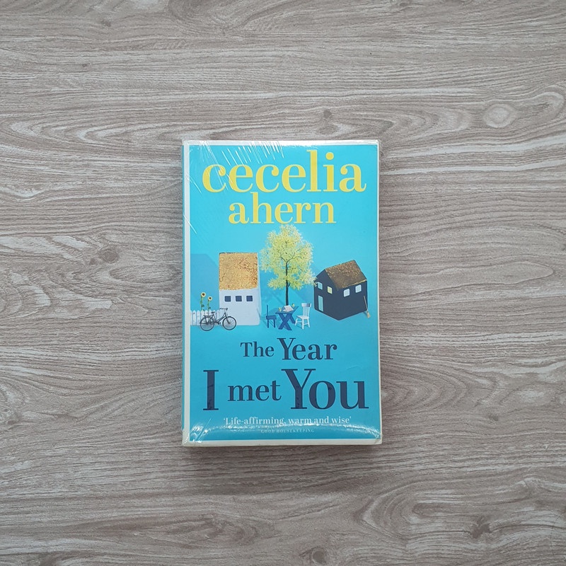 Novel Import - The Year I Met You - Cecelia Ahern