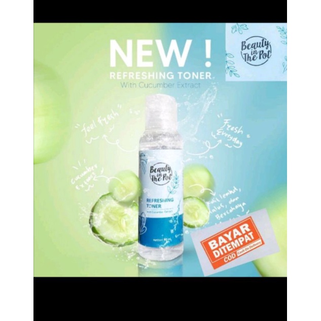 BEAUTY IN THE POT serum , day cream , toner