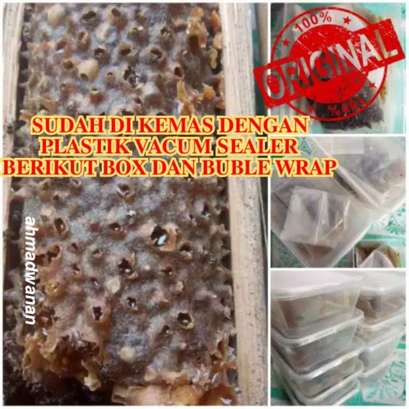 

Madu Murni Madu Asli Madu Alami Madu Mentah Madu Sarang Madu Propolis Madu Klanceng Trigona Kelulut