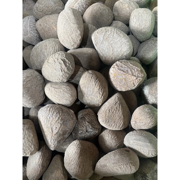 

Kluwak Kluwek Rawon, Picung Rawon 250g