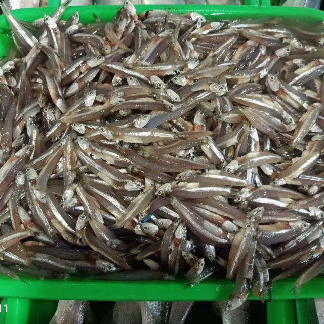 

Ikan teri basah @250gram