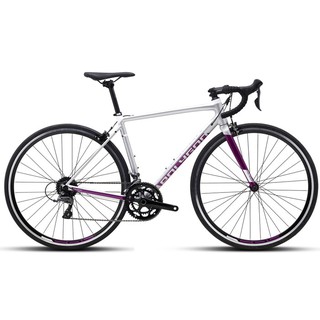  Terbaik  Sepeda  Balap  Roadbike POLYGON STRATTOS S2 SIZE 51 