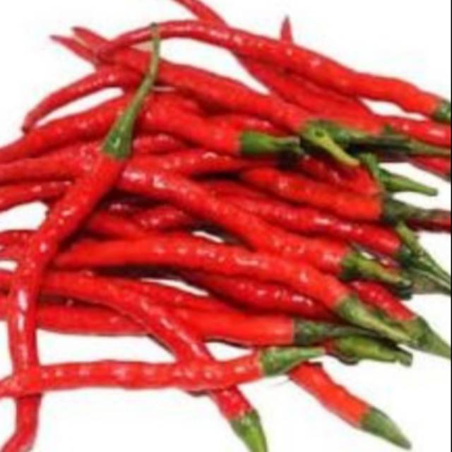 

Cabe merah keriting 250 gram
