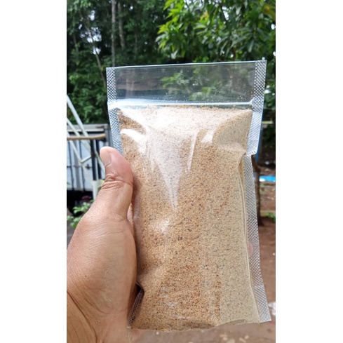 

PANIR CILUNG/PANIR BAWANG