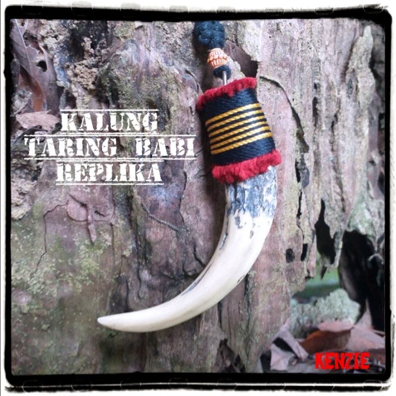 KALUNG TARING BABI ETNIK DAYAK KALIMANTAN