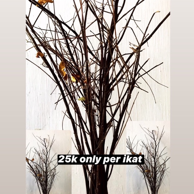 Ranting Hias Kering Shopee Indonesia