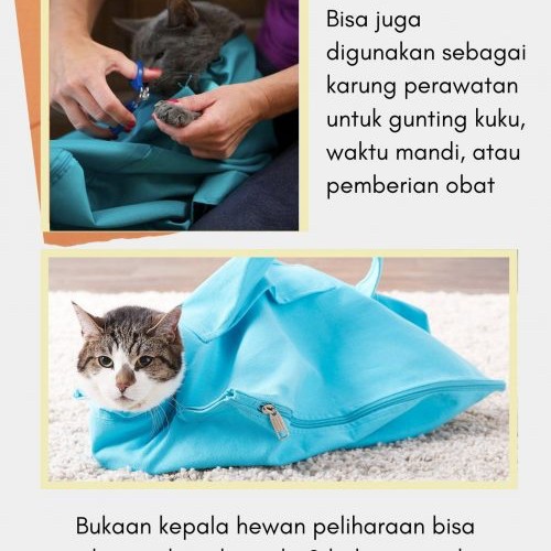 Tas kucing jinjing