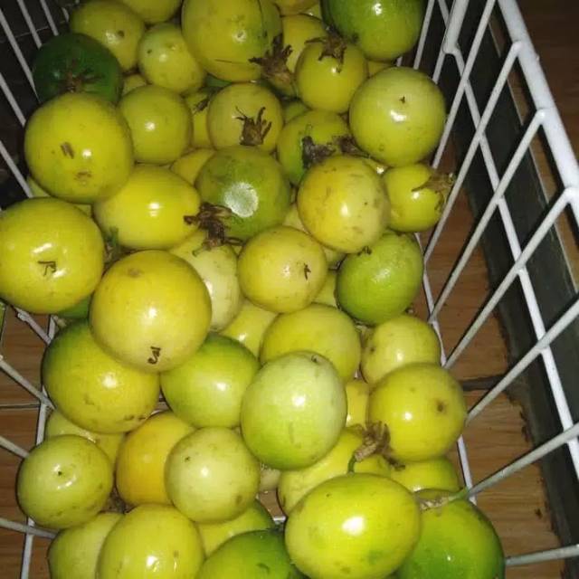 

Markisa segar 1000gram