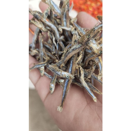 

Ikan Teri