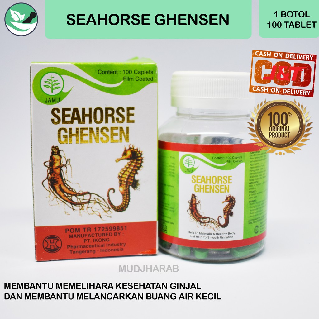 OBAT SEHAT GINJAL SEAHORSE GHENSHEN KIDNEY
