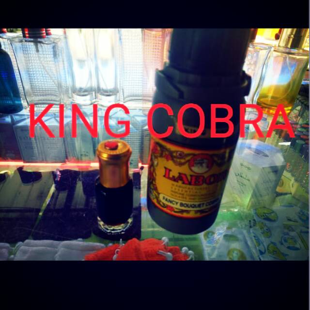 Misik King Cobra Murni 6m