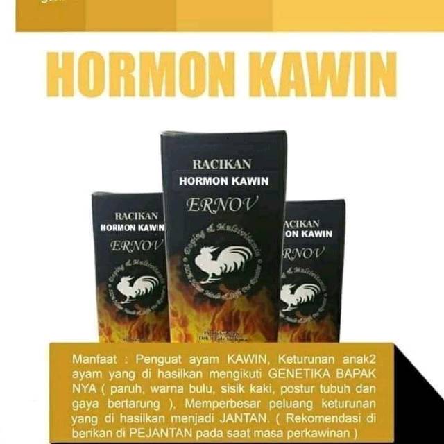 Ernov Hormon Kawin