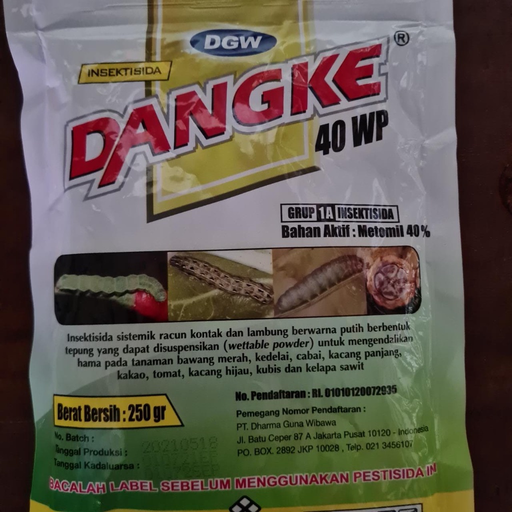 DANGKE 40WP  250GR