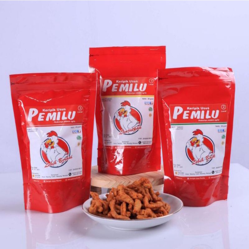 

KERIPIK USUS PEMILU
