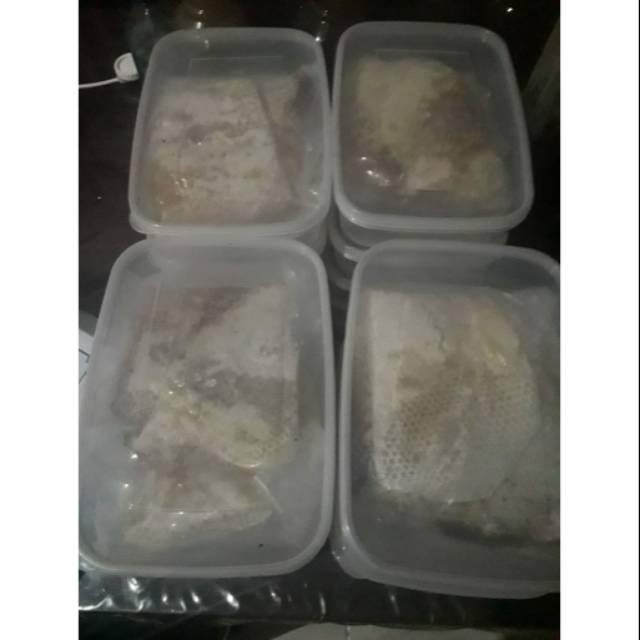

Madu ternak al amin