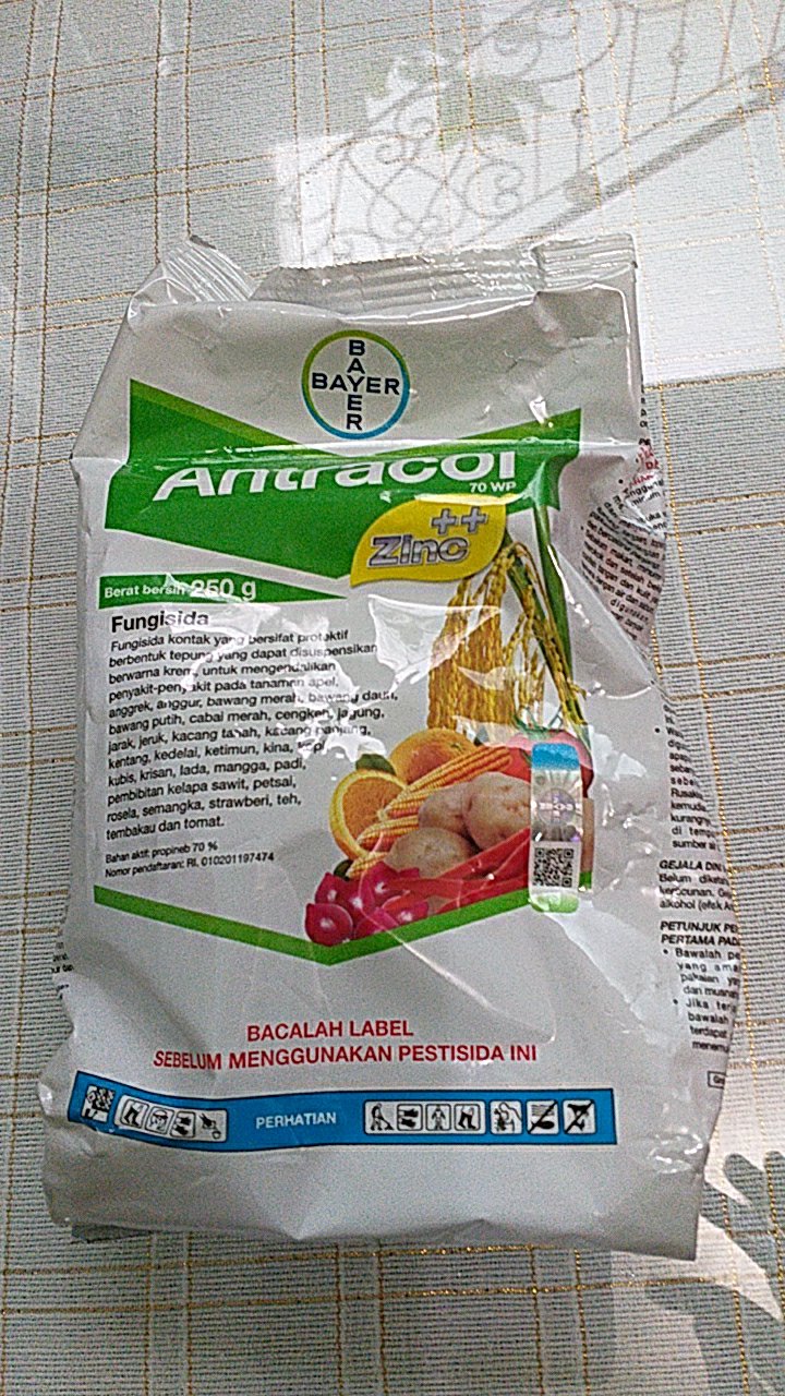 Antracol 70wp 250gr - 500gr