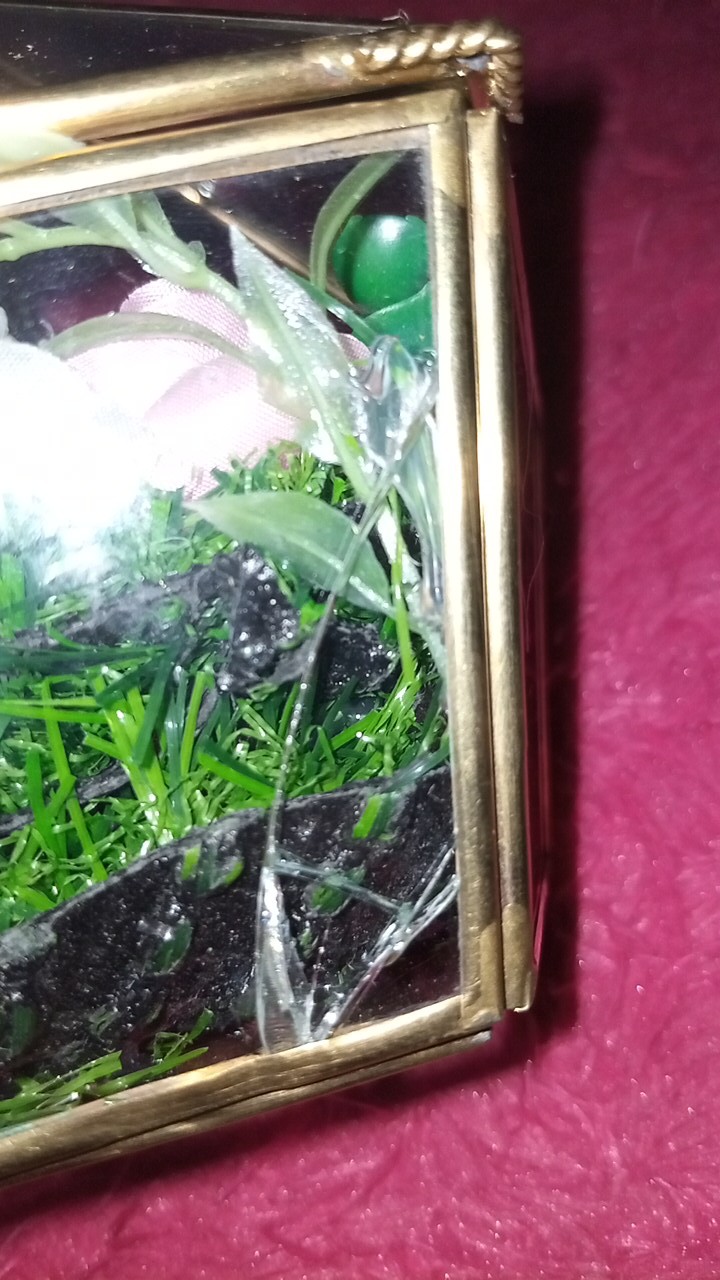 Ring Bearer Tempat Cincin Kaca Terarium