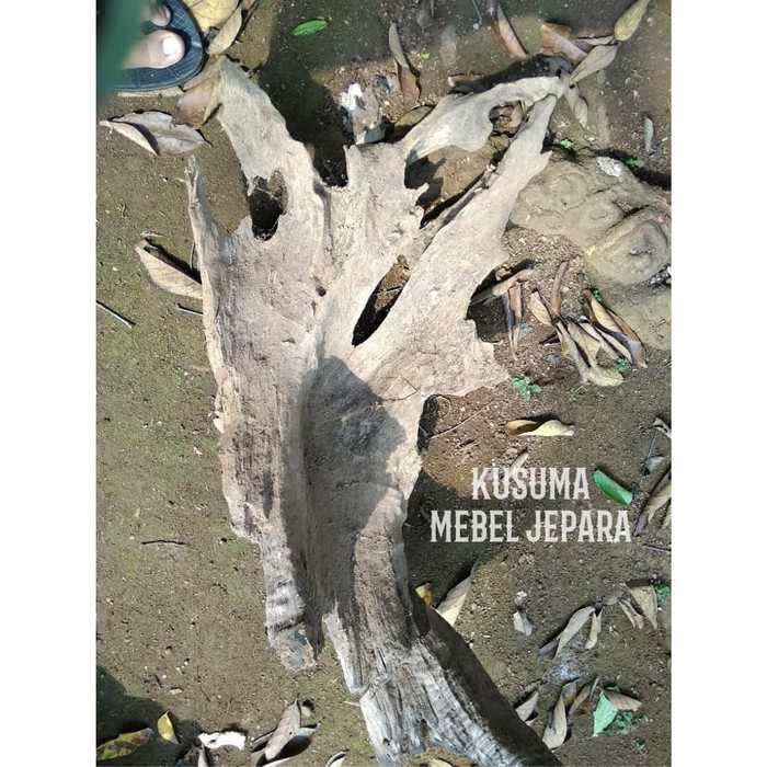 Bahan Aquascape Akuarium Akar Kayu Jati Solid No.4 (Panjang 40cm)