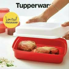 tempat marinate daging junior season serve ecer 1pc